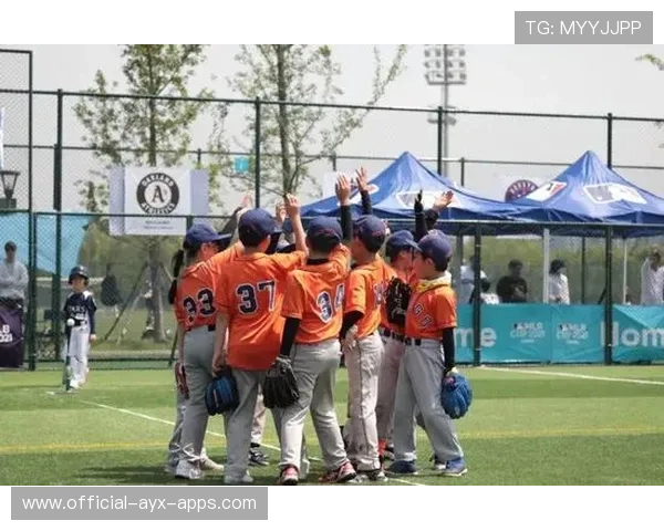 青少年“运动+普通高校+职业教育”三位一体培养体系不断完善